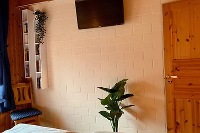 Ferienpark - Komfort-Ferienhaus