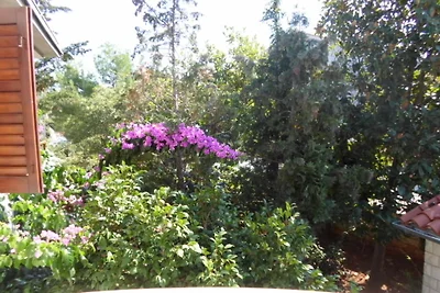 "Sonnenschein" in Harmonie und