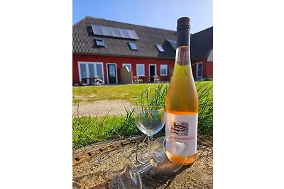 HaRE Ferienwohnungen VEER