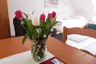 apartman za odmor Obiteljski odmor Bad Freienwalde