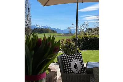 Appartamento Vacanza con famiglia Nußdorf am Attersee