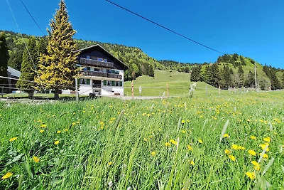 Holiday flat family holiday Hittisau