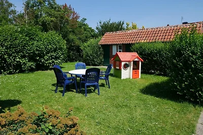 Apart Lachmöwe