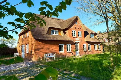 Det Danske Hus - Wohnung Backbord