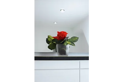 Moseltraum-Fewo mit Klimaanlage