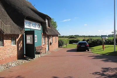 Vakantieappartement Gezinsvakantie Wrixum