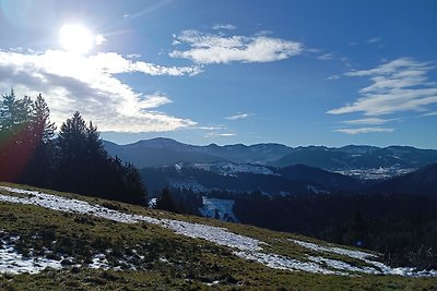 Vakantieappartement Gezinsvakantie Oberreute