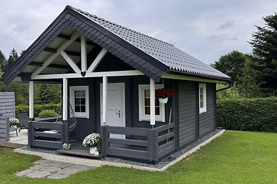 Vakantiehuis Ontspannende vakantie Schöneck/Vogtland