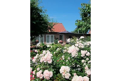 Appartamento Vacanza con famiglia Riepsdorf