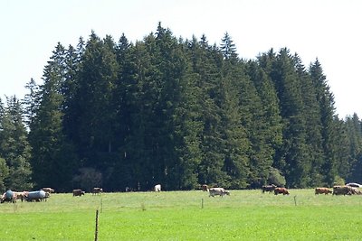 Ferienwohnung Nr. 2