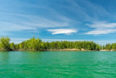 Appartamento Vacanza con famiglia Südheide