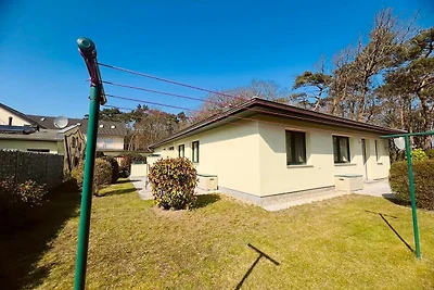 Ferienwohnung Boston Terrier