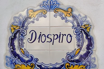 Casa Diospiro villa for 4P+baby