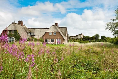 Vakantiehuis Ontspannende vakantie Kampen