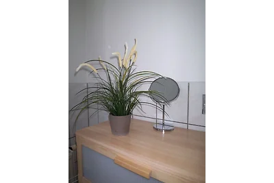 Appartamento Vacanza con famiglia Dresden vicinity