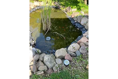 Accommodatie Vakantie op de boerderij Lenzen