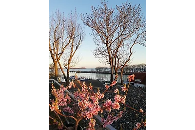 Boddenblick-Vilm