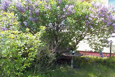 Ferienwohnung "Galerie"