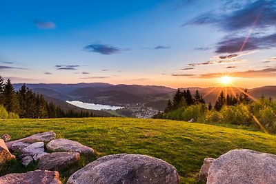 Vakantieappartement Gezinsvakantie Menzenschwand