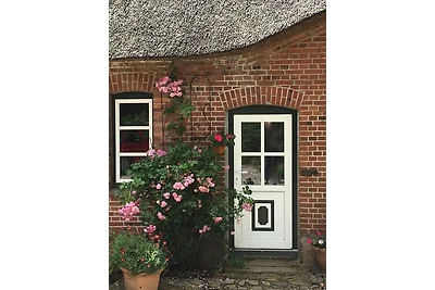 Hoheluft am Wittensee Apt. 3