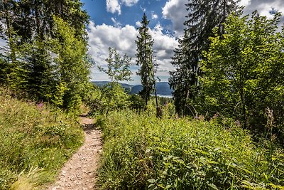 Kurhotel Schluchsee App. 1301 -