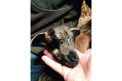 Mühlenhof Soderstorf Wohnung F