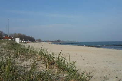 Ponykoppel (adult only bzw ab 16