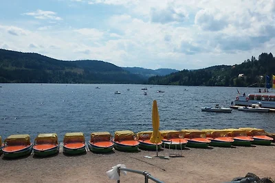 Vakantieappartement Gezinsvakantie Feldberg