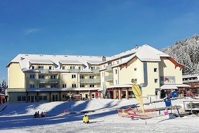 Appartamento Vacanza con famiglia Feldberg