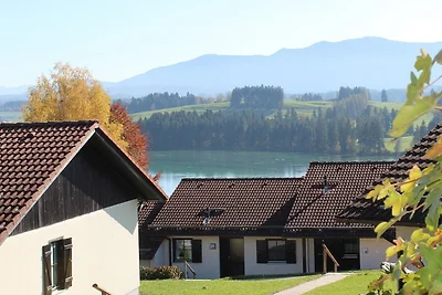 Ferienhaus Nr. 87, Kategorie