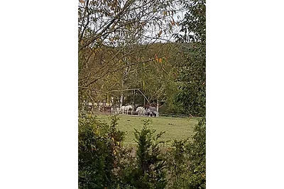 Ferienhäuser Andrea - FH 14 -