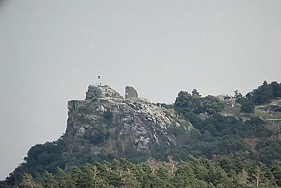 Ferienwohnung/Ferienhaus Waldblick