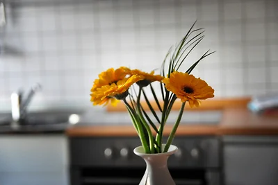 Appartamento Vacanza con famiglia Koblenz