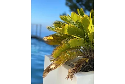 Vakantieappartement Gezinsvakantie Eivissa