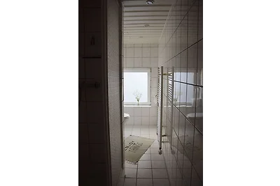 Möwe