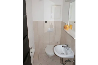 Seestern am Hafen - ABC139