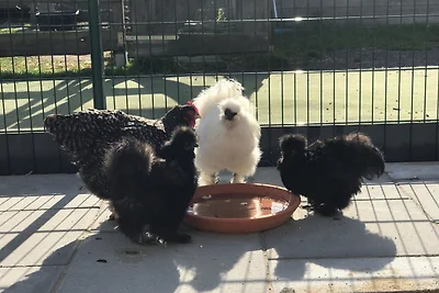 Vakantieappartement Gezinsvakantie Burg auf Fehmarn