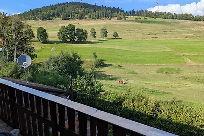 Vakantieappartement Gezinsvakantie Schopfheim