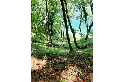 Ferienwohnung nordisch Kühl