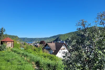 Rheinfunkeln & Burgenzauber