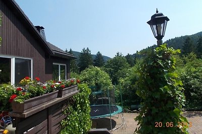 Vakantieappartement Gezinsvakantie Lautenthal