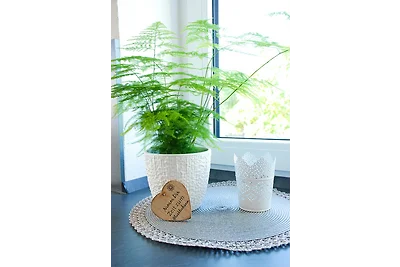 Ferienwohnung Familie Schleicher