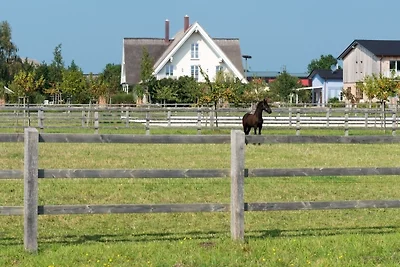 Appartamento Vacanza con famiglia Rankwitz