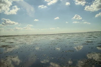 Appartamento Vacanza con famiglia Dagebüll