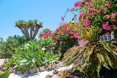 Casa Azul, Arico Viejo/ La Sabinita
