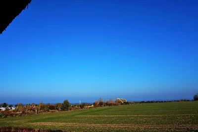 Reethaus "Lachmöwe*****"