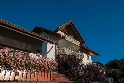 Appartamento Vacanza con famiglia Todtnau
