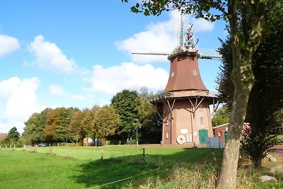 Ferienwohnung Familie Renken