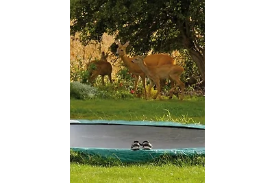 "Ferienhof Alte Mühle" W 1