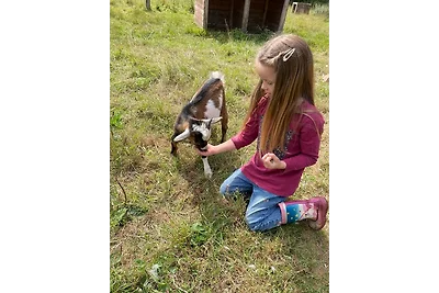 Naturhof Buschwiesen - Wohnung Lama